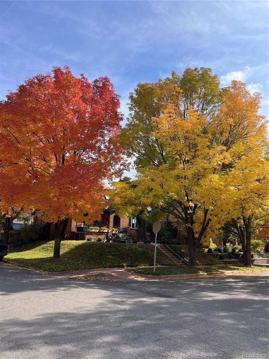 House in Denver, Colorado, United States 1 - 18760922