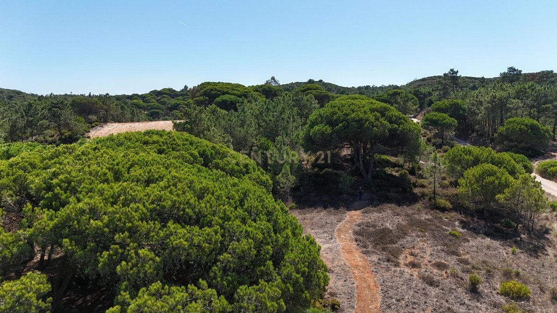 Land in Sesimbra (Castelo), Setubal, Portugal 2 - 18754954