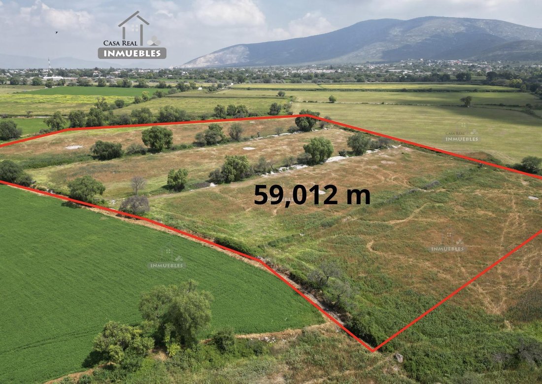 Terrain à Xochitlán, État d'Hidalgo, Mexique 1 - 18750207