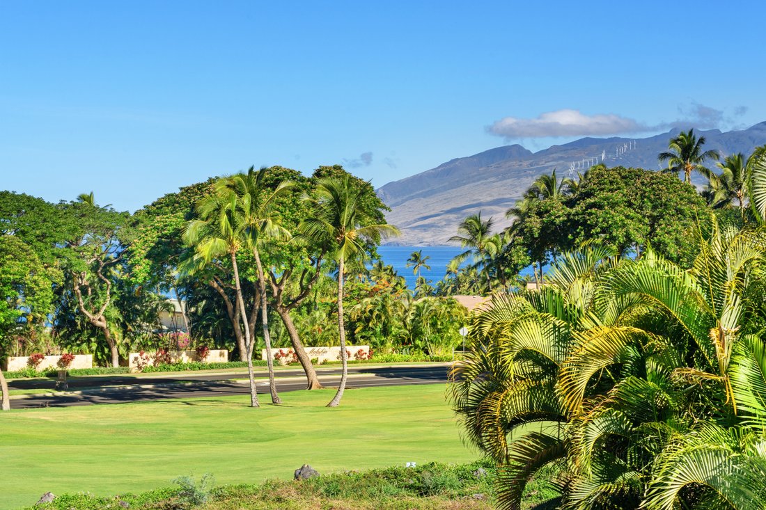 Maison à Kihei, Hawaï, États-Unis 4 - 18750215