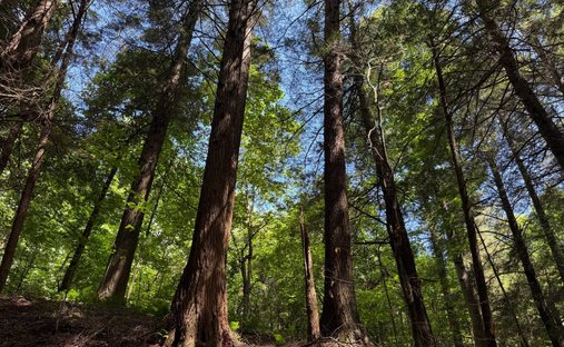 Terrain à Stoneboro, Pennsylvanie, États-Unis 1