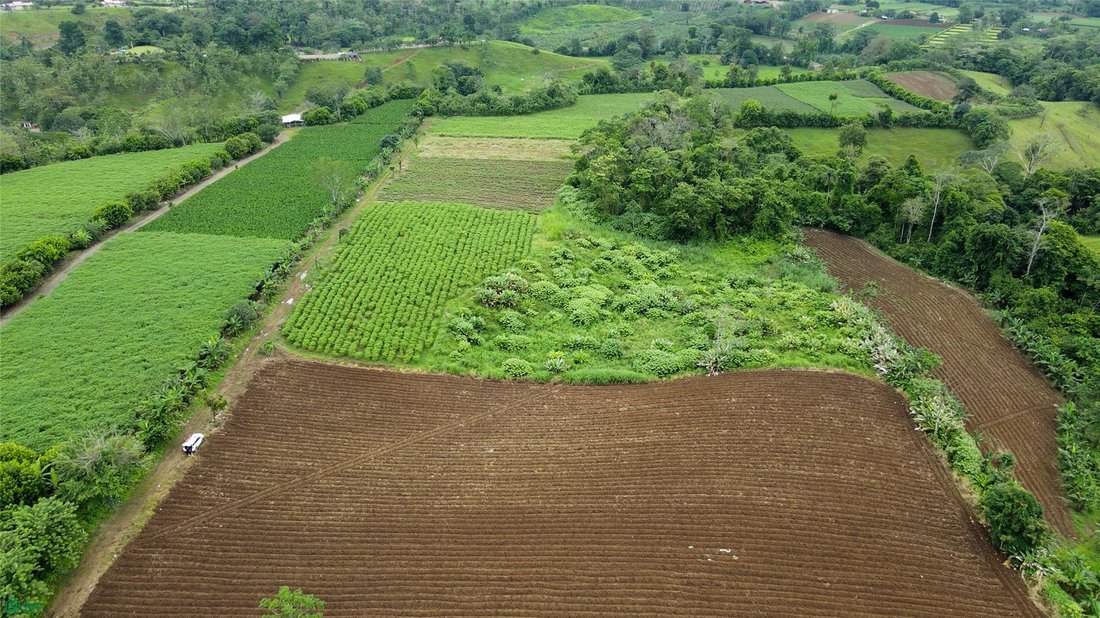 Land in Fortuna, San Ramón, Costa Rica 5 - 18584284
