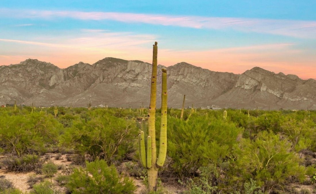 House in Marana, Arizona, United States 3 - 18749878