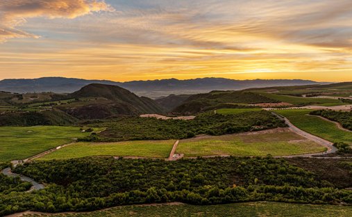 Terreno a Napa, California, Stati Uniti 1