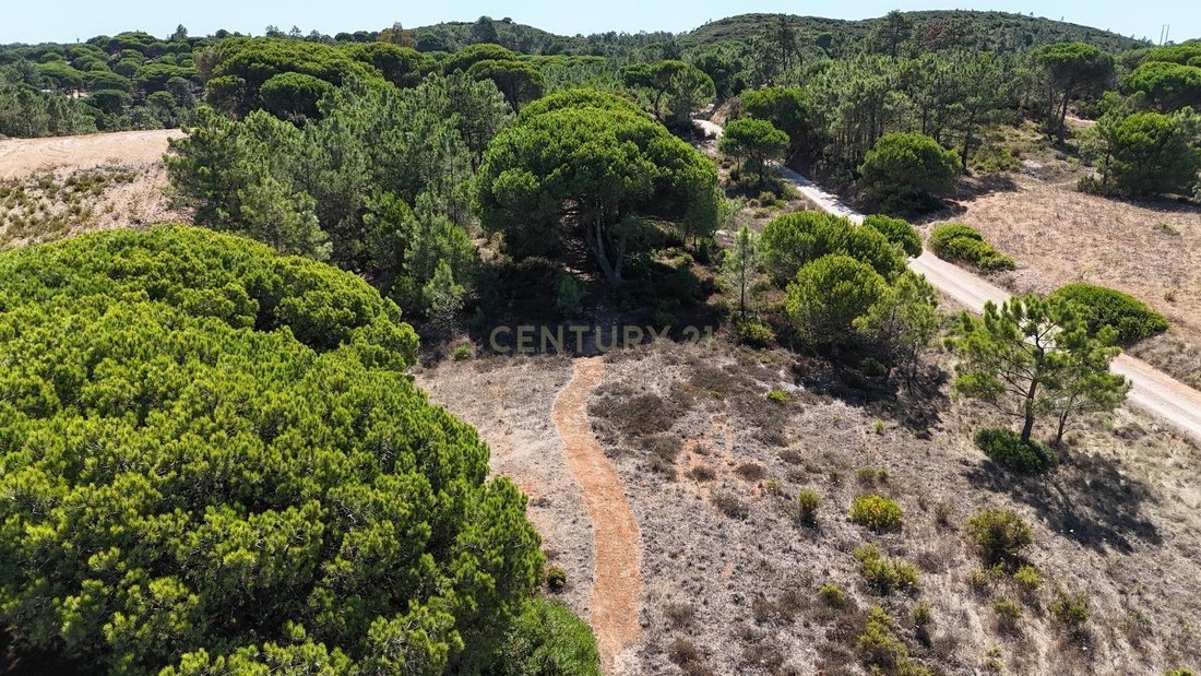 Land in Sesimbra (Castelo), Setubal, Portugal 5 - 18754954