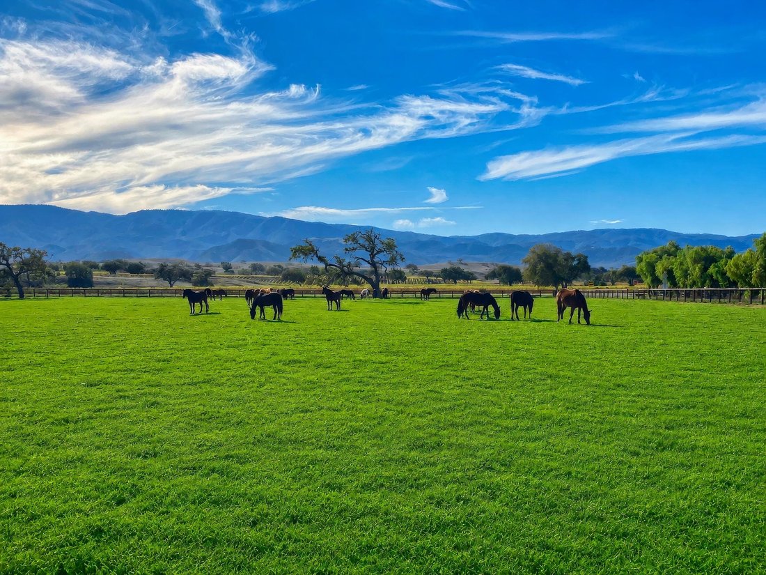Terreno en Santa Ynez, California, Estados Unidos 2 - 18751861