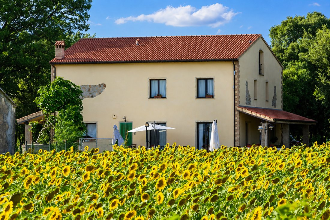 Maison à Roccastrada, Toscane, Italie 1 - 18752573