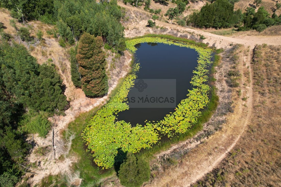 Farm Ranch in Silves, Algarve, Portugal 4 - 18752896