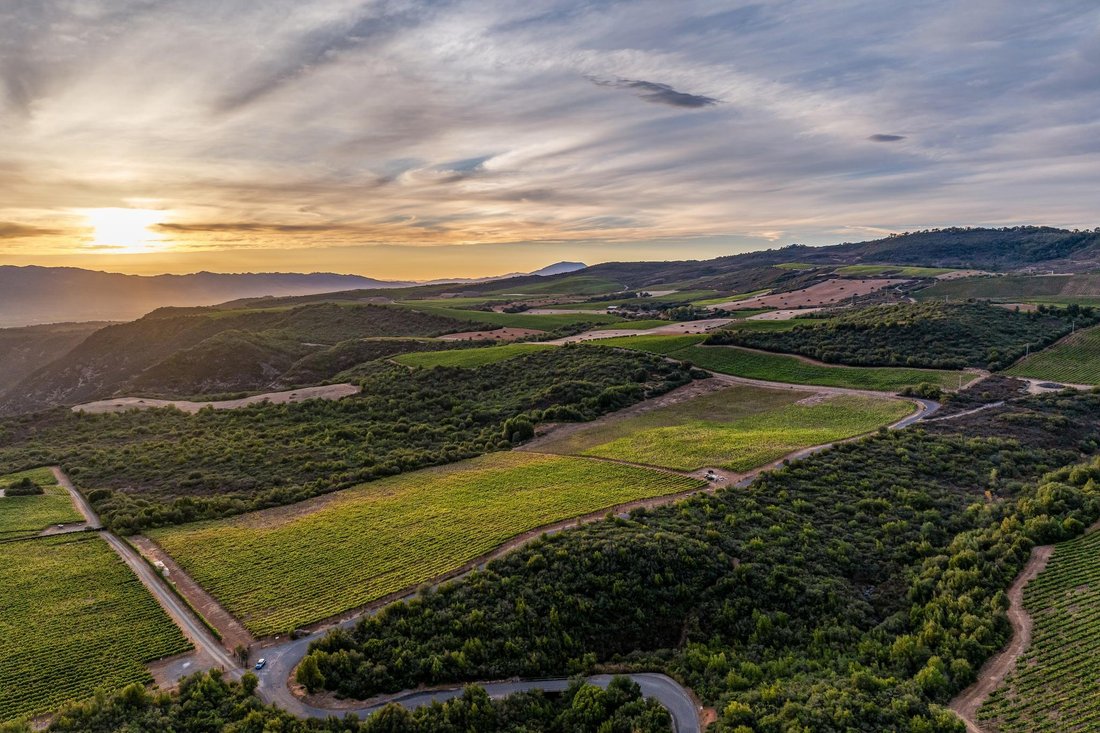 Terrain à Napa, Californie, États-Unis 4 - 18754004