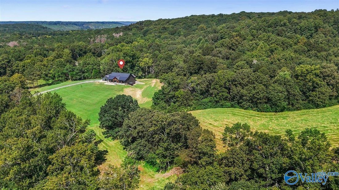Farm Ranch in Baileyton, Alabama, United States 1 - 18755741