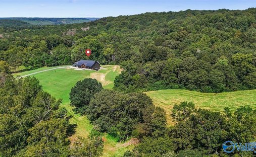 Corps de ferme à Baileyton, Alabama, États-Unis 1