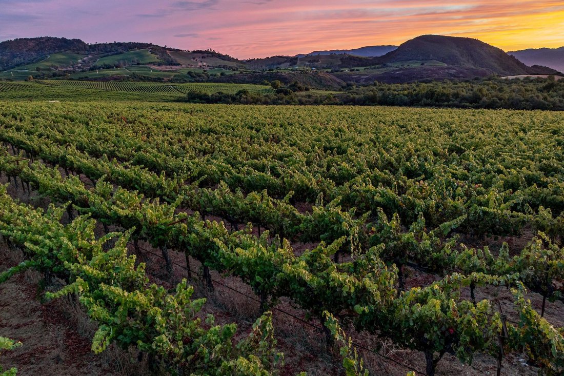 Terrain à Napa, Californie, États-Unis 3 - 18754004