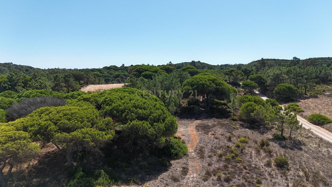 Land in Sesimbra (Castelo), Setubal, Portugal 4 - 18754954