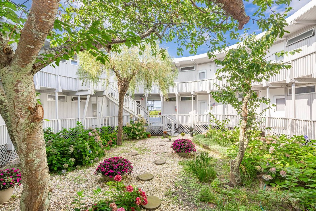 Cooperativa a East Quogue, New York, Stati Uniti 5 - 18754578
