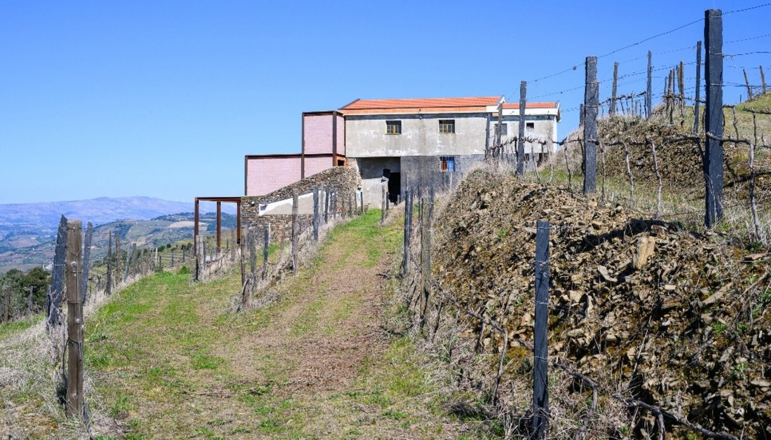 Casa en Peso da Régua, Distrito de Vila Real, Portugal 5 - 18753877