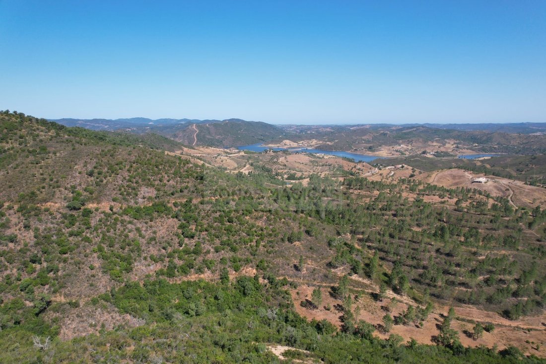 Azienda agricola a Silves, Algarve, Portogallo 5 - 18752896