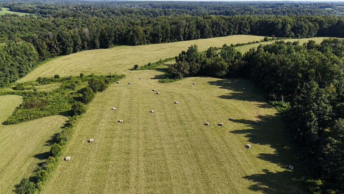 Azienda agricola a Primm Springs, Tennessee, Stati Uniti 1 - 18751821