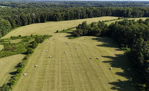 Azienda agricola a Primm Springs, Tennessee, Stati Uniti 1
