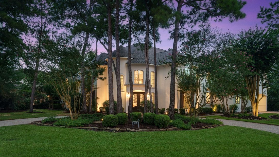 Maison à The Woodlands, Texas, États-Unis 1 - 18751927