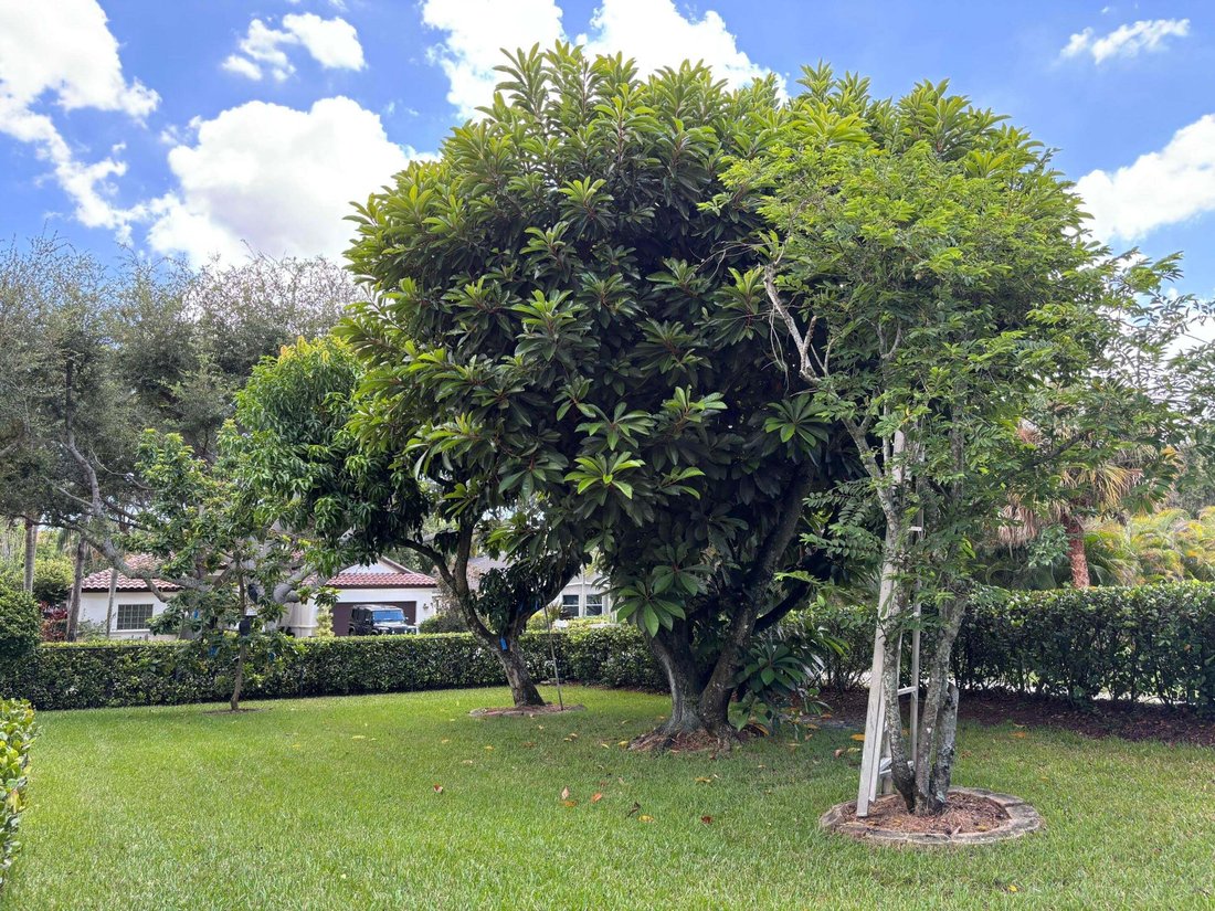House in Jupiter, Florida, United States 5 - 18749043