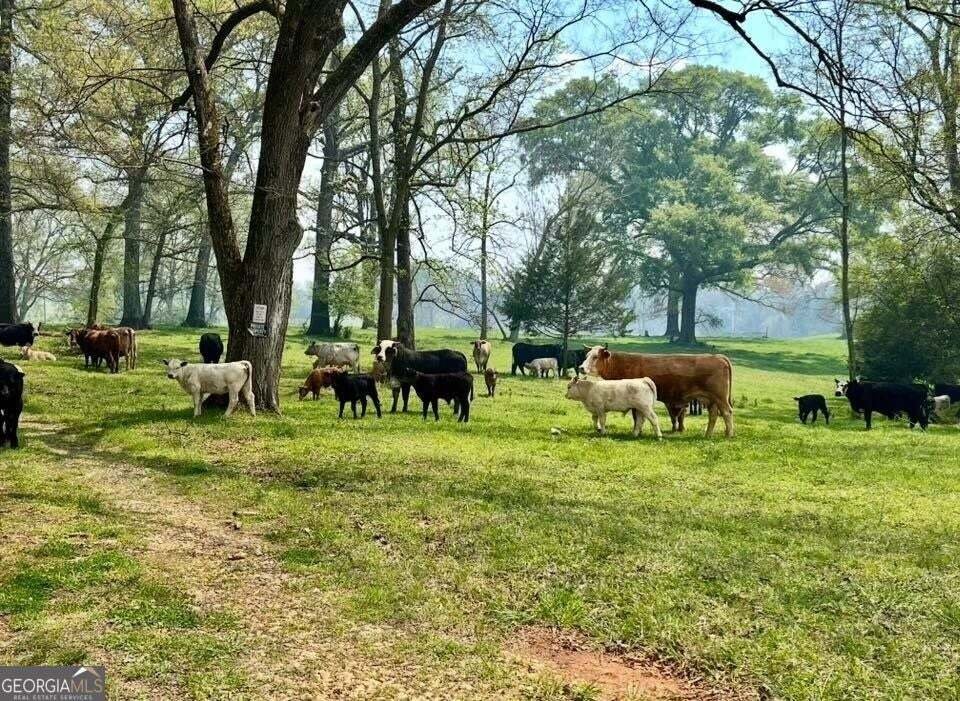 Rancho en Eatonton, Georgia, Estados Unidos 2 - 18752002