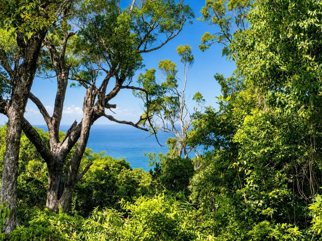 Casa in Cow Bay, Queensland, Australia 2 - 16413289