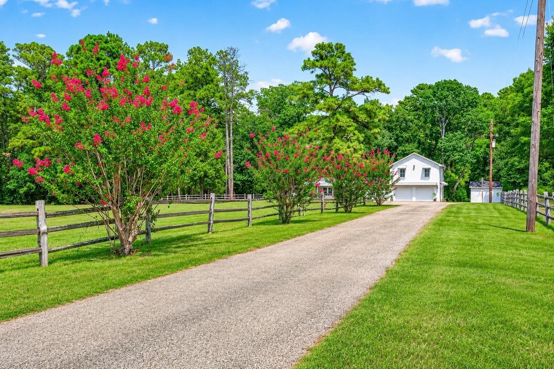 Haus in Willis, Texas, Vereinigte Staaten 2 - 18764651