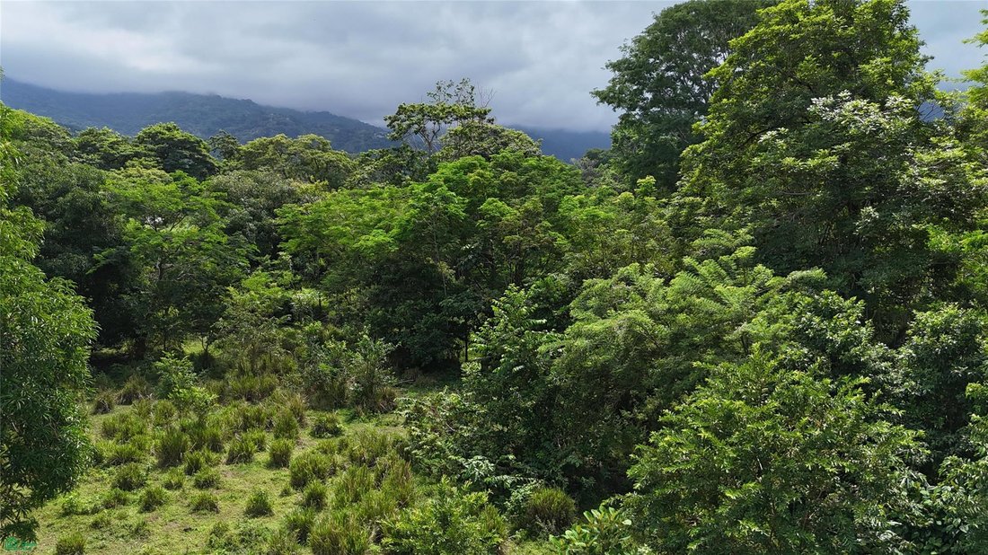 Land in Uvita, Provinz Puntarenas, Costa Rica 1 - 17810736