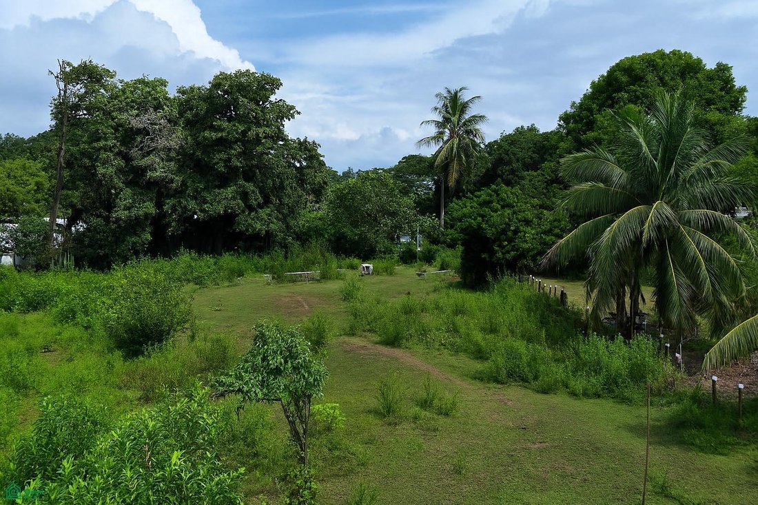 Land in Uvita, Provinz Puntarenas, Costa Rica 2 - 17810736