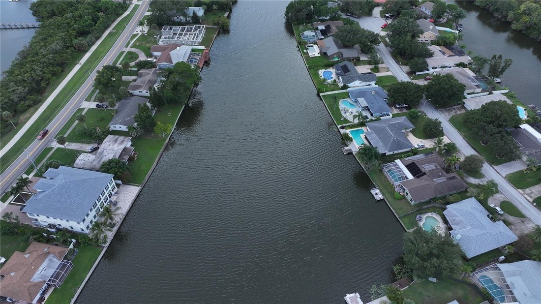 Haus in Safety Harbor, Florida, Vereinigte Staaten 5 - 18764859