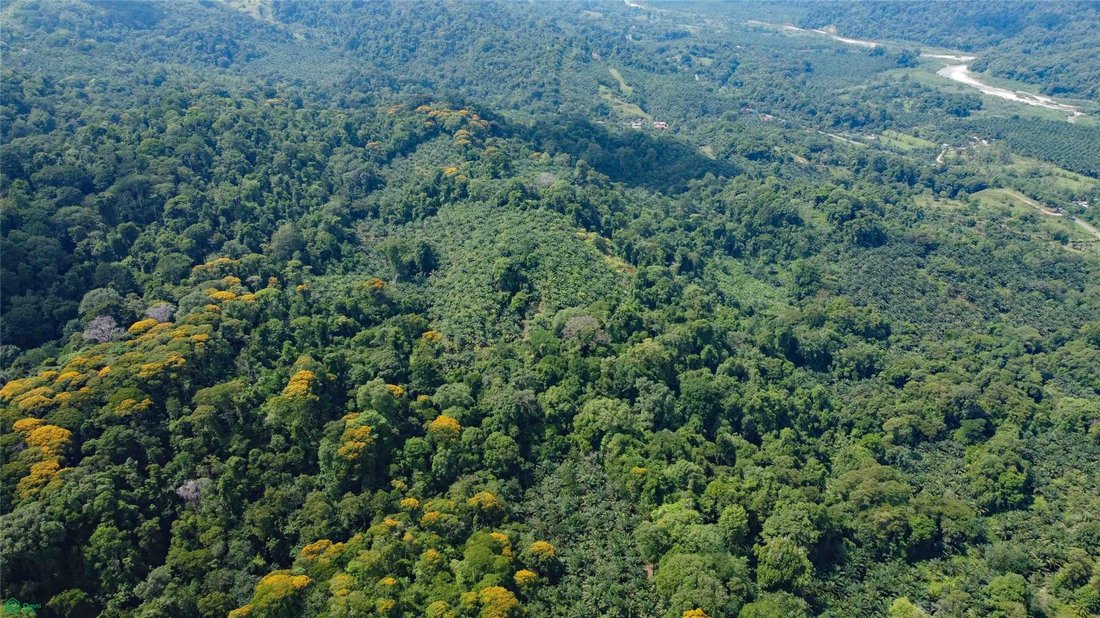 Terreno en Piedras Blancas, Provincia de Puntarenas, Costa Rica 4 - 18030334