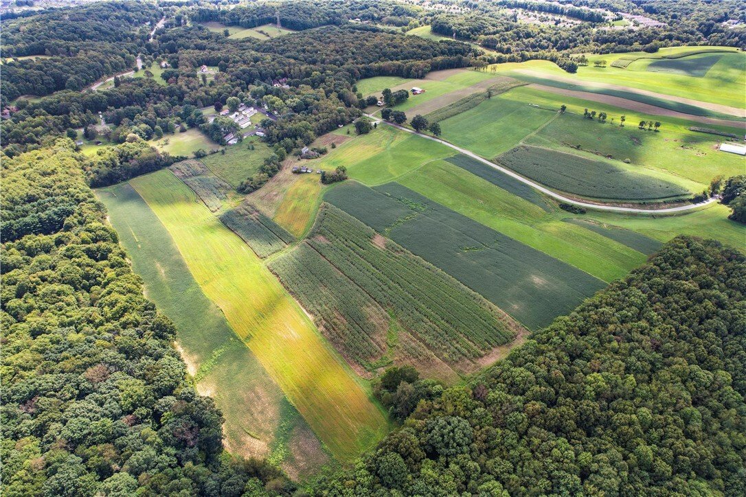 Azienda agricola a Freedom, Pennsylvania, Stati Uniti 4 - 18763705