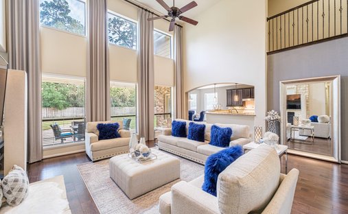 House in Spring, Texas, United States 1
