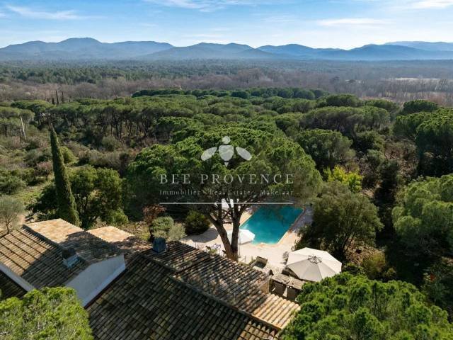 Villa en Sud, Vidauban, Francia 3 - 16297678