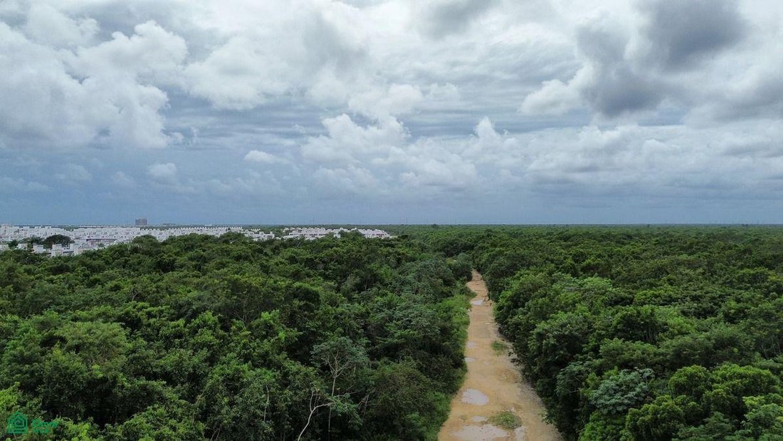 Land in Cancún, Quintana Roo, Mexiko 3 - 17810832