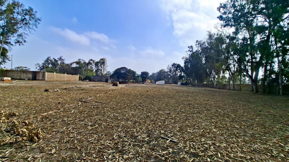 Land in San Juan de Miraflores, Metropolitan Municipality of Lima, Peru 5 - 18763691