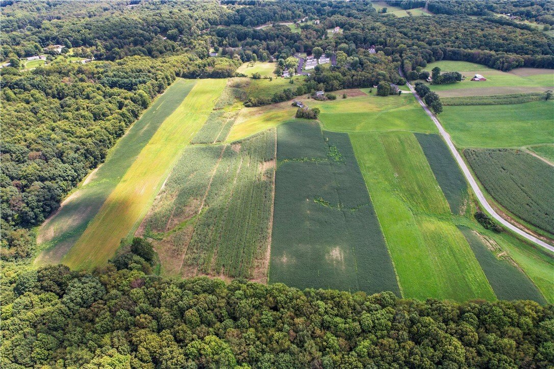 Azienda agricola a Freedom, Pennsylvania, Stati Uniti 3 - 18763705