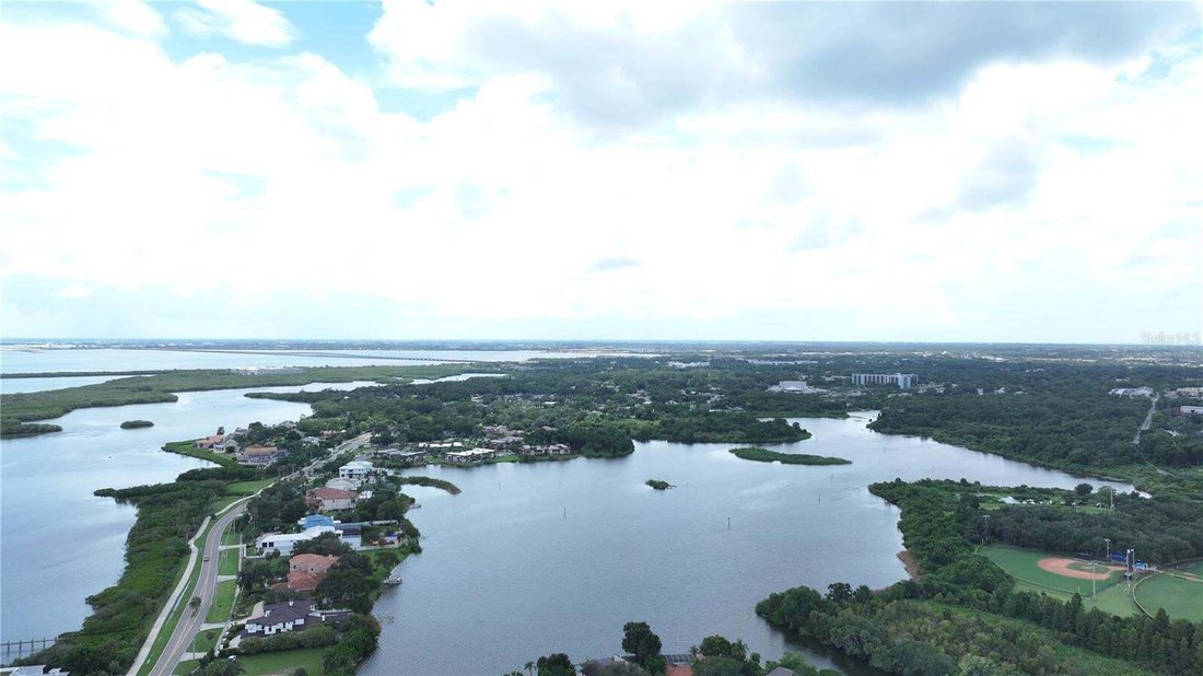 Haus in Safety Harbor, Florida, Vereinigte Staaten 3 - 18764859