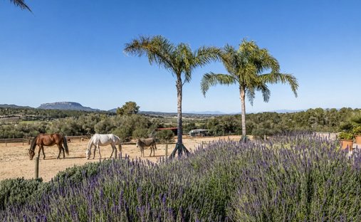 Finca a Montuïri, Isole Baleari, Spagna 1