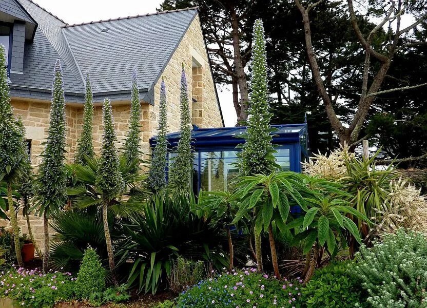 House in Ouest, Quiberon, France 3 - 18763264
