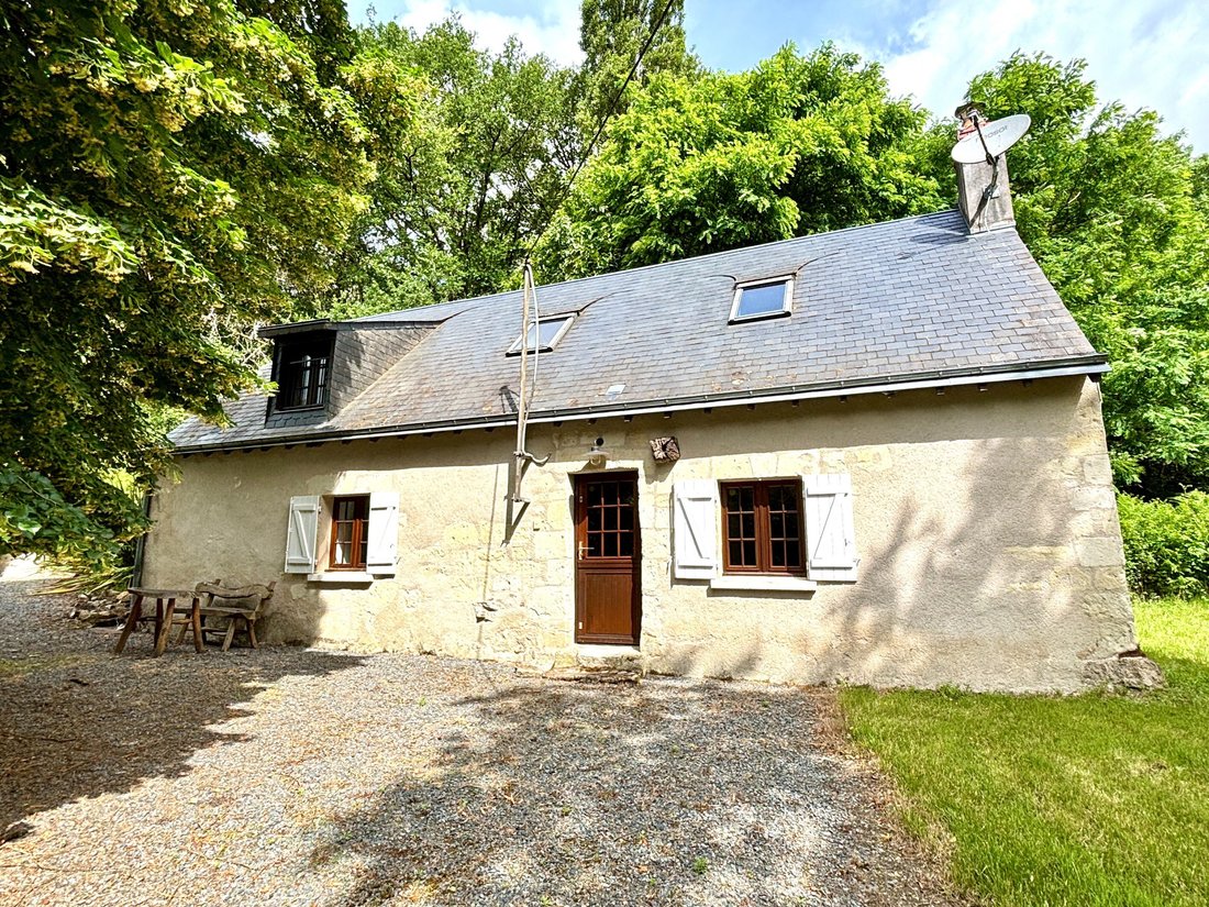 Haus in Bourgueil, Zentrum-Loiretal, Frankreich 5 - 18765154