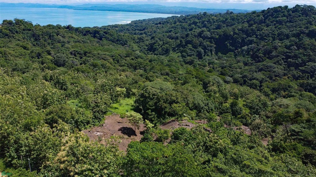 Land in Pavones, Puntarenas Province, Costa Rica 1 - 18637527