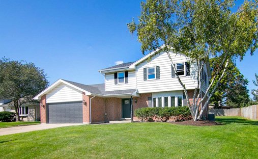 Casa en New Lenox, Illinois, Estados Unidos 1