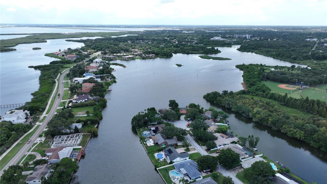 Haus in Safety Harbor, Florida, Vereinigte Staaten 4 - 18764859
