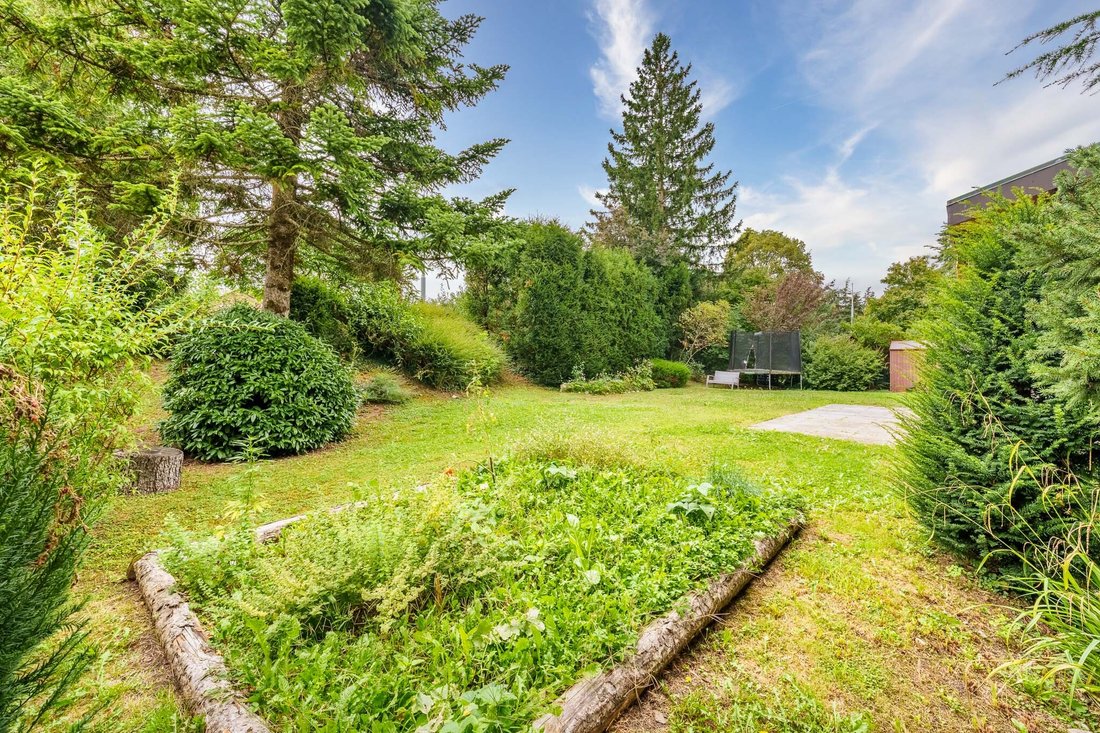 Villa in Confignon, Kanton Genf, Schweiz 4 - 18705138