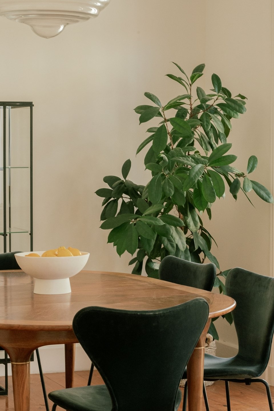 Apartment in Estrela, Lisbon, Portugal 2 - 18761811