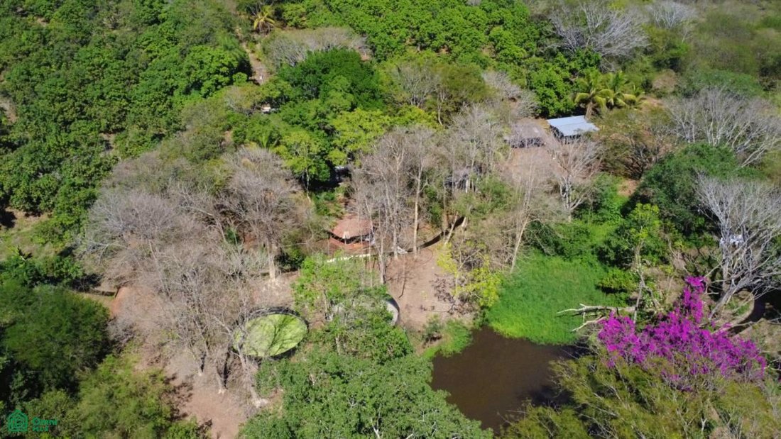Land in El Tigre, Nayarit, Mexico 5 - 17810883