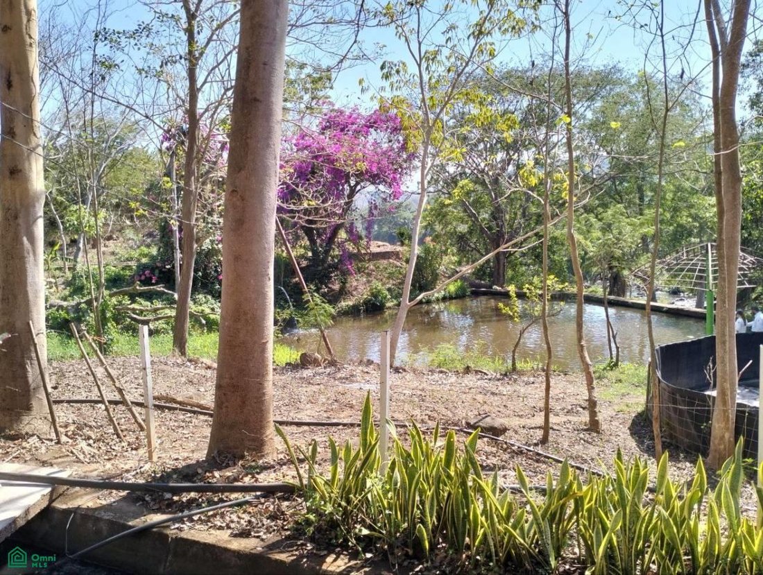 Land in El Tigre, Nayarit, Mexico 2 - 17810883