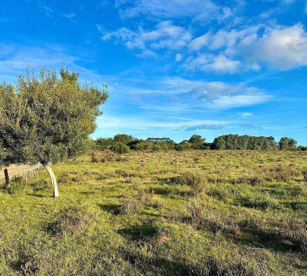 Azienda agricola a José Ignacio, Dipartimento di Maldonado, Uruguay 4 - 18764046
