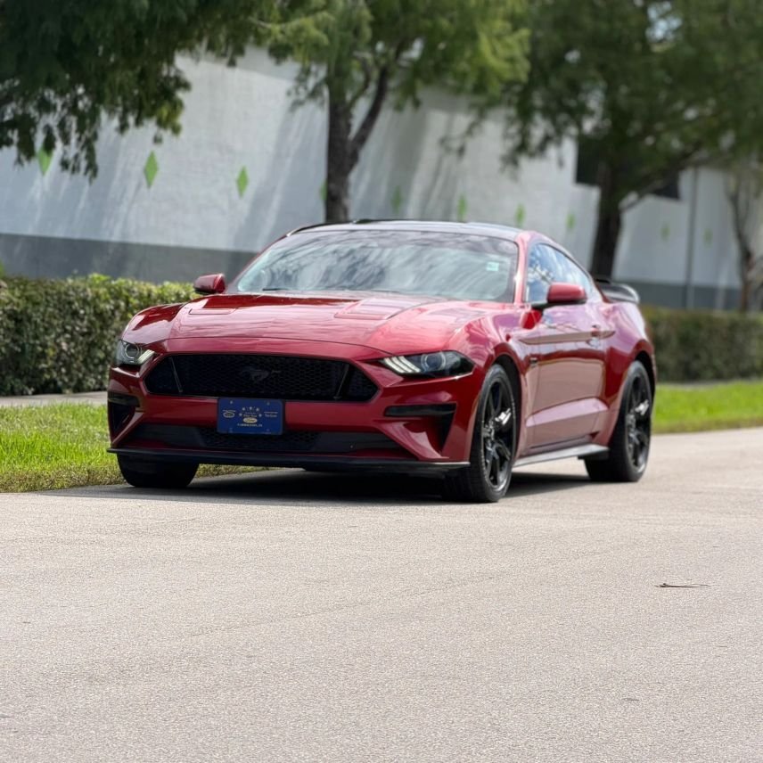 Coupe in Wilton Manors, FL, United States 1 - 18765741